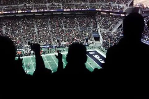 Expert Insight: NFL Fandom: The Last Cultural Unifier? /